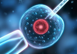 子宫内膜厚度多少正常 子宫内膜怎么才能留住胚胎